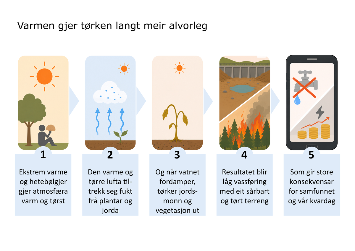 llustrasjon av Charlotte Stark/MET, som viser store konsekvenser av tørke