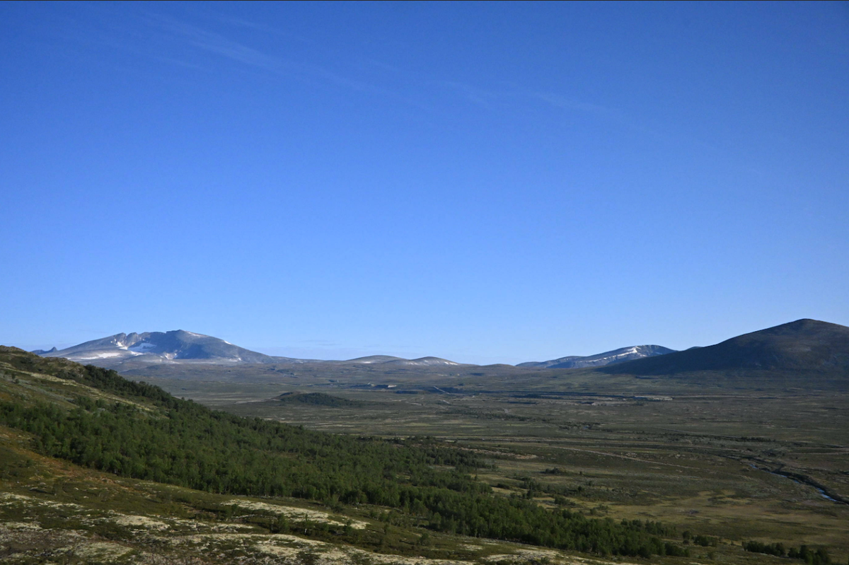 Bilde fra Hjerkinn, Norsk Luftambulanse